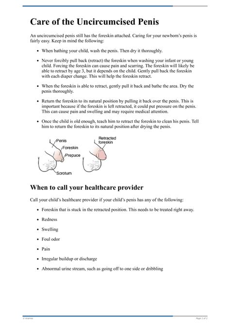 cock flash for teens|Care of the Uncircumcised Penis in Teens .